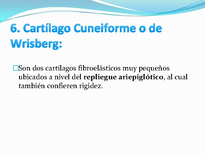 6. Cartílago Cuneiforme o de Wrisberg: �Son dos cartílagos fibroelásticos muy pequeños ubicados a 6. Cartílago Cuneiforme o de Wrisberg: �Son dos cartílagos fibroelásticos muy pequeños ubicados a