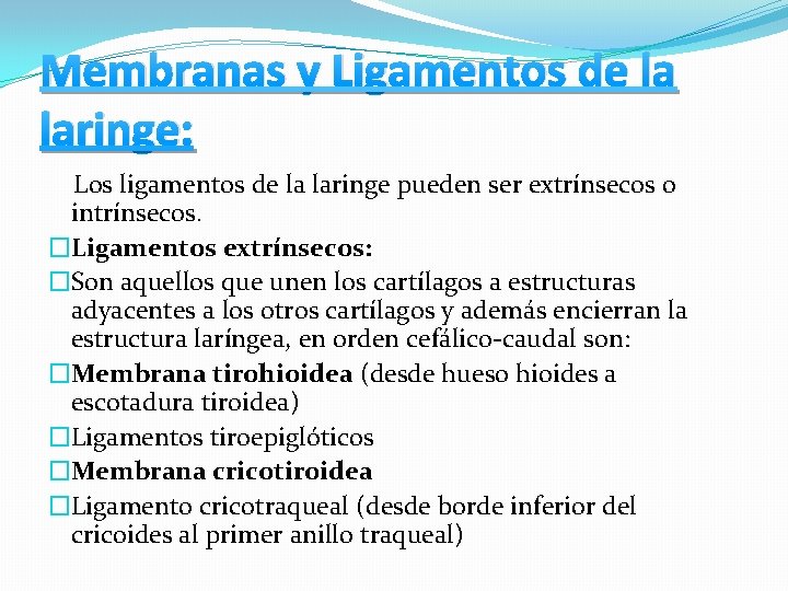 Membranas y Ligamentos de la laringe: Los ligamentos de la laringe pueden ser extrínsecos Membranas y Ligamentos de la laringe: Los ligamentos de la laringe pueden ser extrínsecos