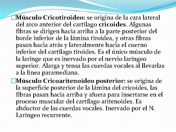 �Músculo Cricotiroideo: se origina de la cara lateral del arco anterior del cartílago cricoides. �Músculo Cricotiroideo: se origina de la cara lateral del arco anterior del cartílago cricoides.