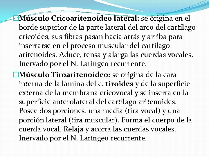 �Músculo Cricoaritenoídeo lateral: se origina en el borde superior de la parte lateral del �Músculo Cricoaritenoídeo lateral: se origina en el borde superior de la parte lateral del