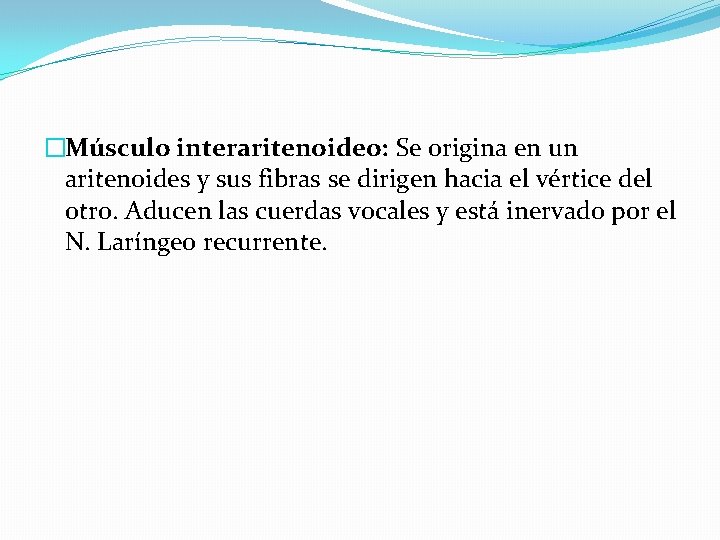�Músculo interaritenoideo: Se origina en un aritenoides y sus fibras se dirigen hacia el �Músculo interaritenoideo: Se origina en un aritenoides y sus fibras se dirigen hacia el