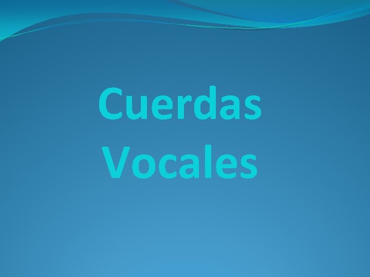 Cuerdas Vocales Cuerdas Vocales