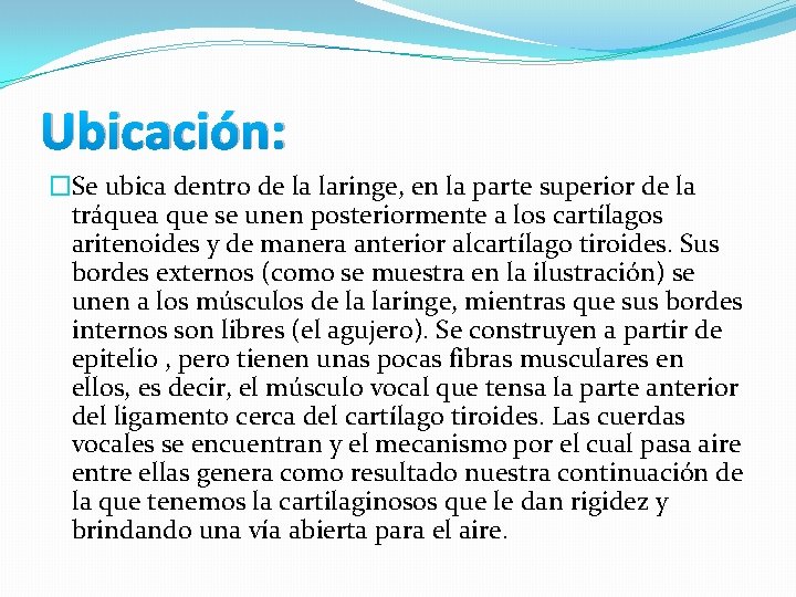 Ubicación: �Se ubica dentro de la laringe, en la parte superior de la tráquea Ubicación: �Se ubica dentro de la laringe, en la parte superior de la tráquea