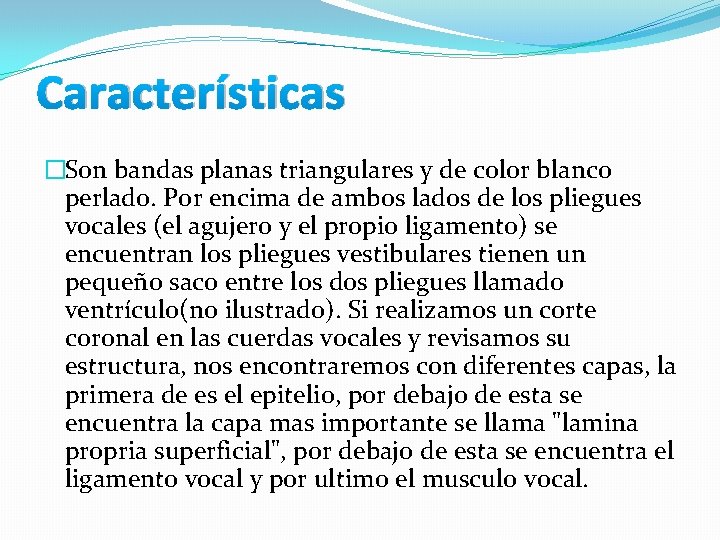 Características �Son bandas planas triangulares y de color blanco perlado. Por encima de ambos Características �Son bandas planas triangulares y de color blanco perlado. Por encima de ambos