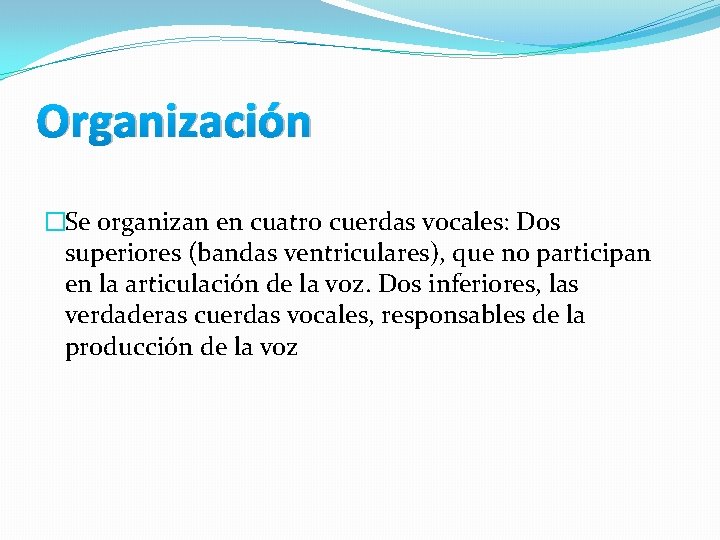 Organización �Se organizan en cuatro cuerdas vocales: Dos superiores (bandas ventriculares), que no participan Organización �Se organizan en cuatro cuerdas vocales: Dos superiores (bandas ventriculares), que no participan