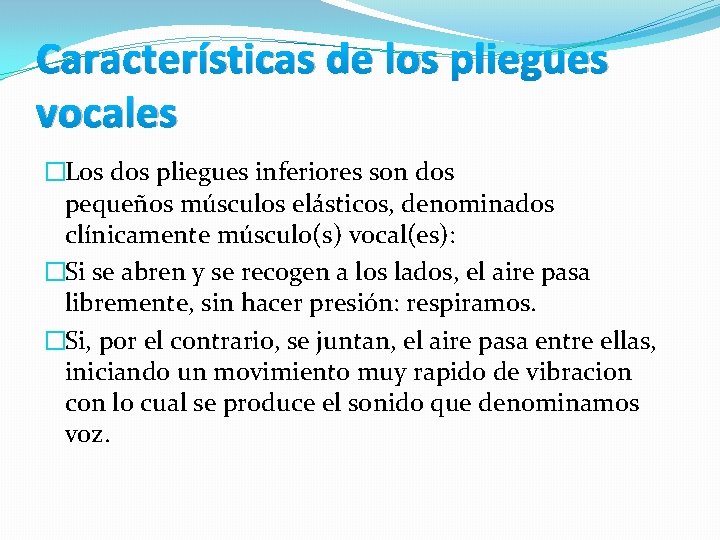Características de los pliegues vocales �Los dos pliegues inferiores son dos pequeños músculos elásticos, Características de los pliegues vocales �Los dos pliegues inferiores son dos pequeños músculos elásticos,