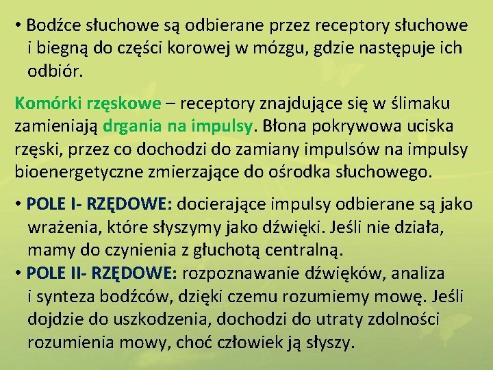  • Bodźce słuchowe są odbierane przez receptory słuchowe i biegną do części korowej