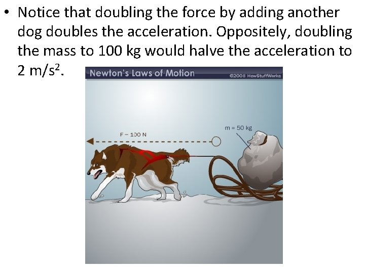  • Notice that doubling the force by adding another dog doubles the acceleration.