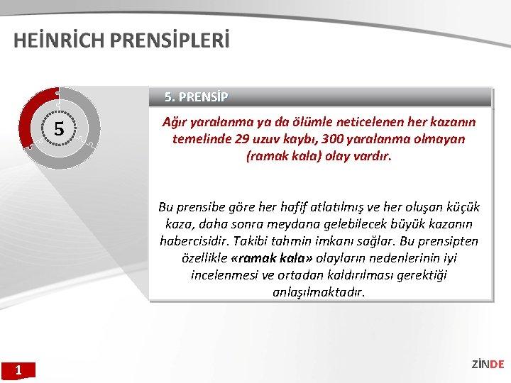 5. PRENSİP 5 Ağır yaralanma ya da ölümle neticelenen her kazanın temelinde 29 uzuv