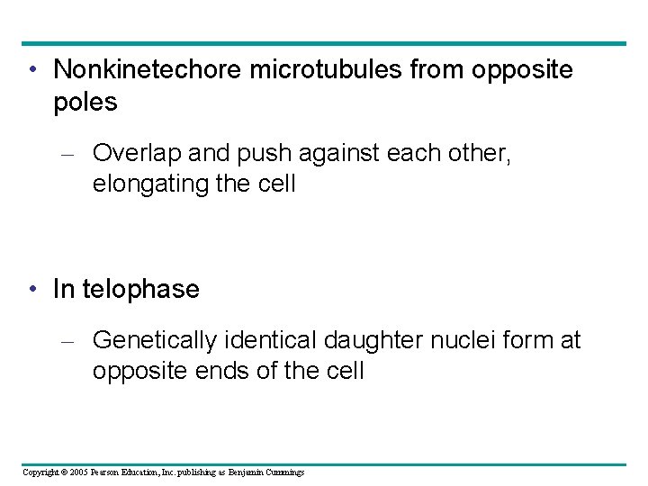• Nonkinetechore microtubules from opposite poles – Overlap and push against each other, • Nonkinetechore microtubules from opposite poles – Overlap and push against each other,