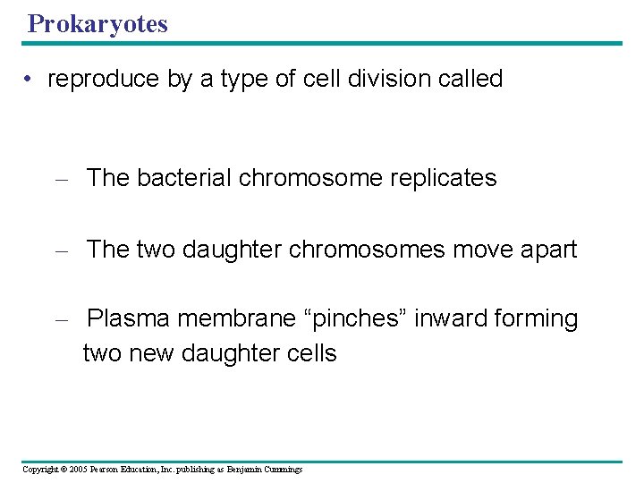 Prokaryotes • reproduce by a type of cell division called – The bacterial chromosome Prokaryotes • reproduce by a type of cell division called – The bacterial chromosome