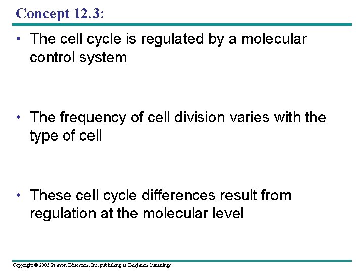 Concept 12. 3: • The cell cycle is regulated by a molecular control system Concept 12. 3: • The cell cycle is regulated by a molecular control system