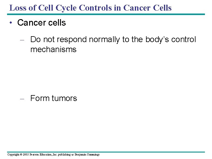 Loss of Cell Cycle Controls in Cancer Cells • Cancer cells – Do not Loss of Cell Cycle Controls in Cancer Cells • Cancer cells – Do not