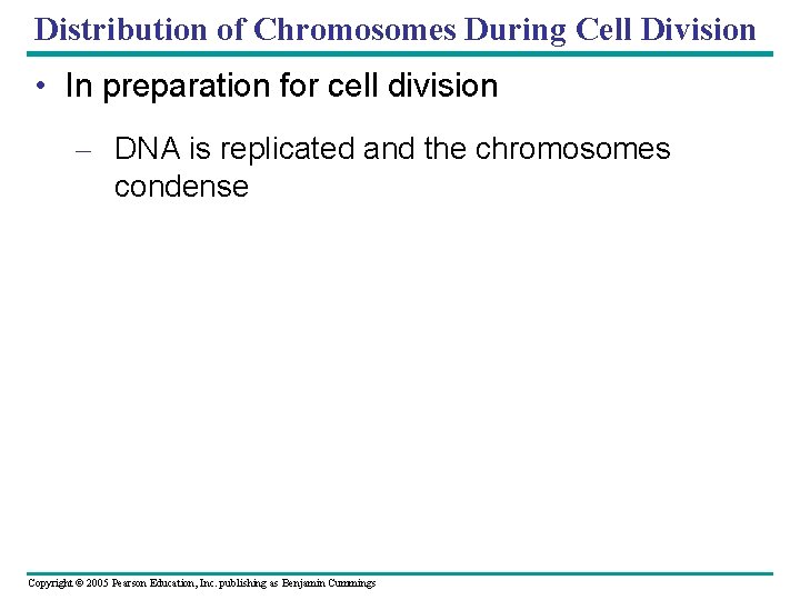 Distribution of Chromosomes During Cell Division • In preparation for cell division – DNA Distribution of Chromosomes During Cell Division • In preparation for cell division – DNA