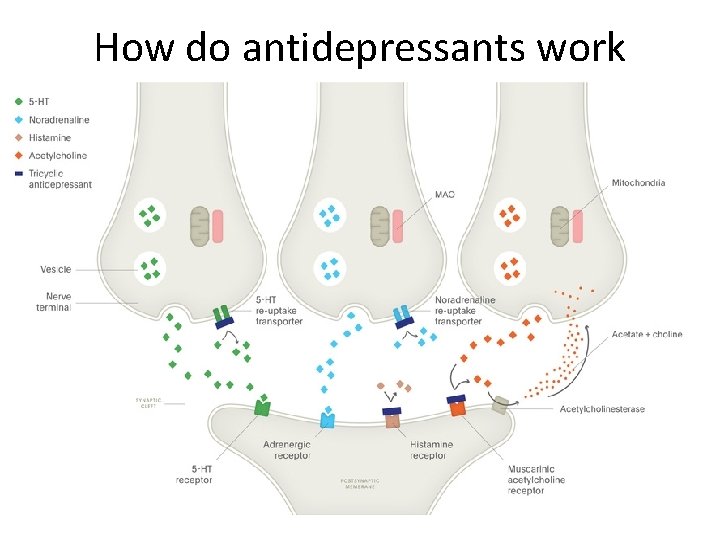 How do antidepressants work 