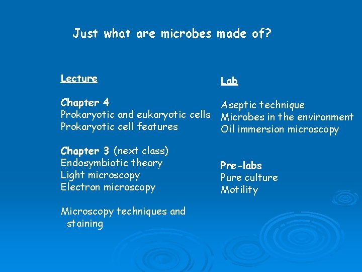 Just what are microbes made of? Lecture Lab Chapter 4 Prokaryotic and eukaryotic cells