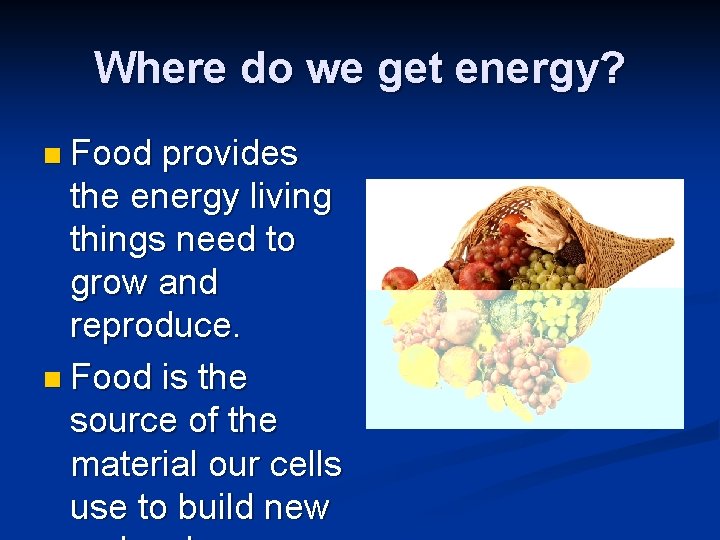 Where do we get energy? n Food provides the energy living things need to