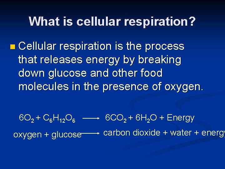 What is cellular respiration? n Cellular respiration is the process that releases energy by