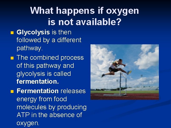 What happens if oxygen is not available? n n n Glycolysis is then followed