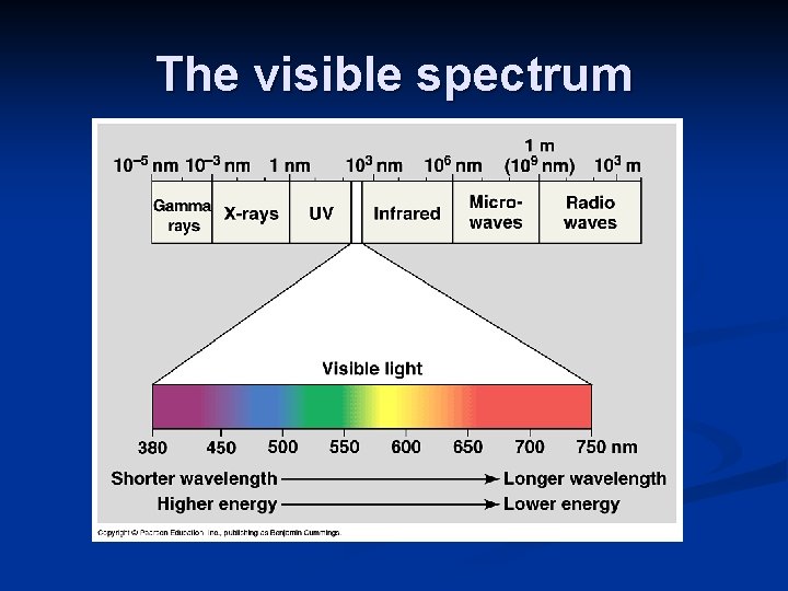 The visible spectrum 