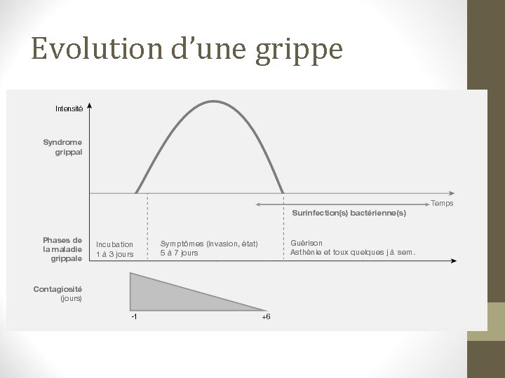 Evolution d’une grippe 