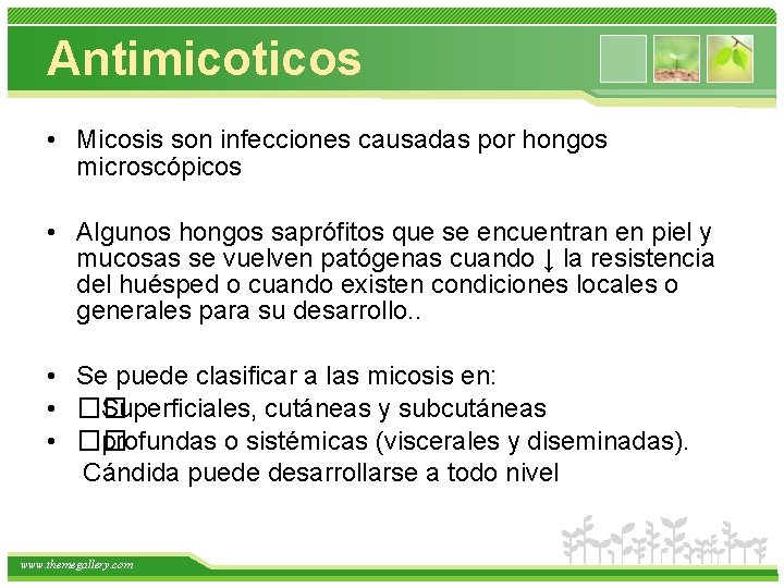 Antimicoticos • Micosis son infecciones causadas por hongos microscópicos • Algunos hongos saprófitos que