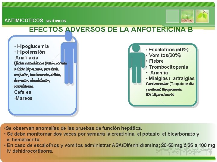 ANTIMICOTICOS SISTÉMICOS EFECTOS ADVERSOS DE LA ANFOTERICINA B • Hipoglucemia • Hipotensión Anafilaxia Efectos