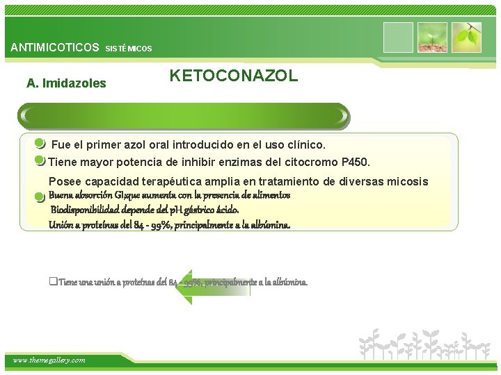 ANTIMICOTICOS SISTÉMICOS A. Imidazoles KETOCONAZOL Fue el primer azol oral introducido en el uso