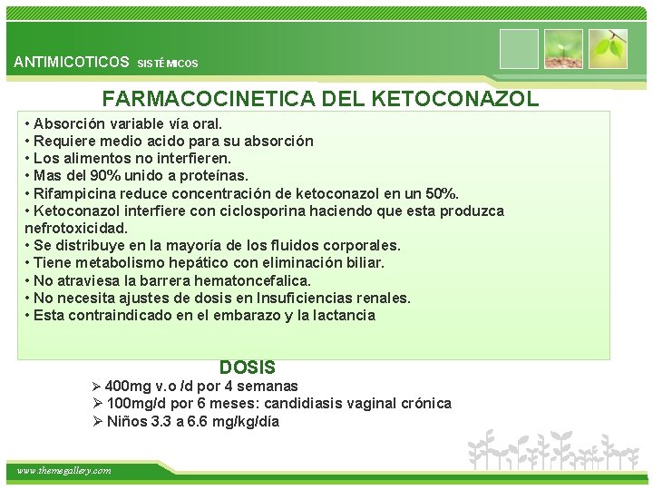 ANTIMICOTICOS SISTÉMICOS FARMACOCINETICA DEL KETOCONAZOL • Absorción variable vía oral. • Requiere medio acido
