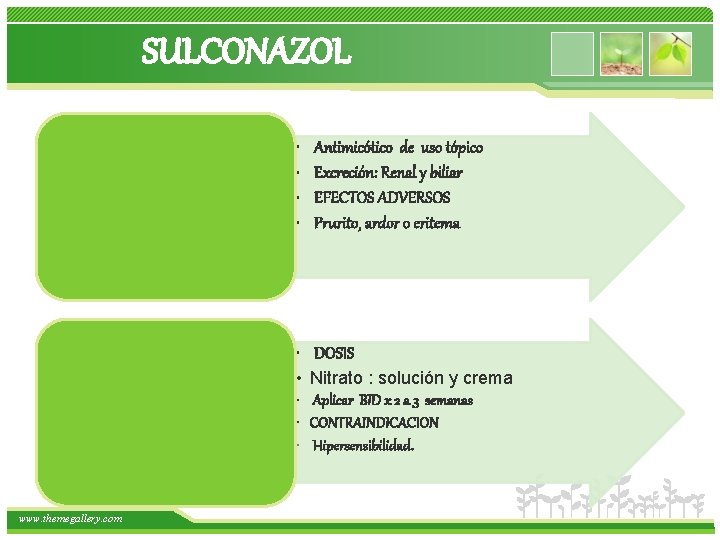 SULCONAZOL • • Antimicótico de uso tópico Excreción: Renal y biliar EFECTOS ADVERSOS Prurito,