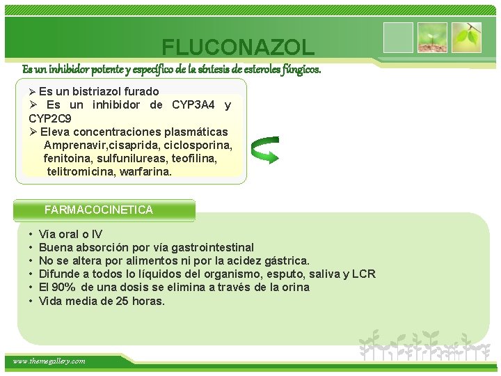 FLUCONAZOL Es un inhibidor potente y específico de la síntesis de esteroles fúngicos. Ø