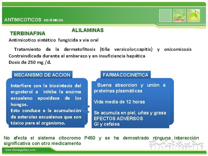 ANTIMICOTICOS SISTÉMICOS ALILAMINAS TERBINAFINA Antimicotico sintético fungicida x via oral Tratamiento de la dermatofitosis