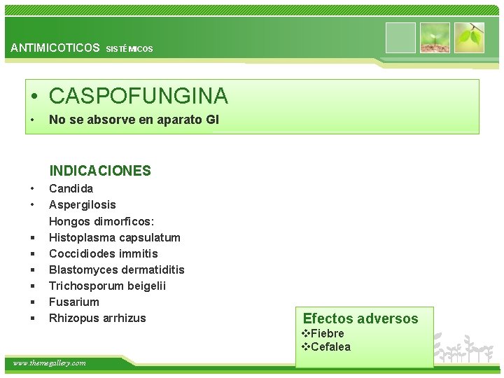 ANTIMICOTICOS SISTÉMICOS • CASPOFUNGINA • No se absorve en aparato GI INDICACIONES • •