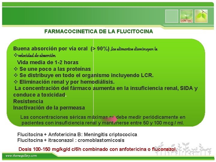 FARMACOCINETICA DE LA FLUCITOCINA Buena absorción por vía oral (> 90%) , los alimentos