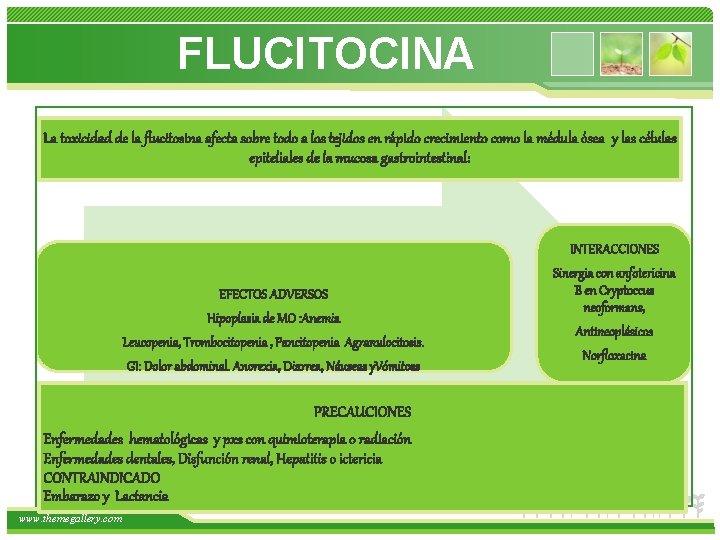 FLUCITOCINA La toxicidad de la flucitosina afecta sobre todo a los tejidos en rápido