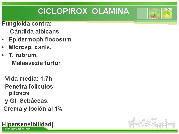 CICLOPIROX OLAMINA Fungicida contra: Càndida albicans • Epidermoph. flocosum • Microsp. canis. • T.