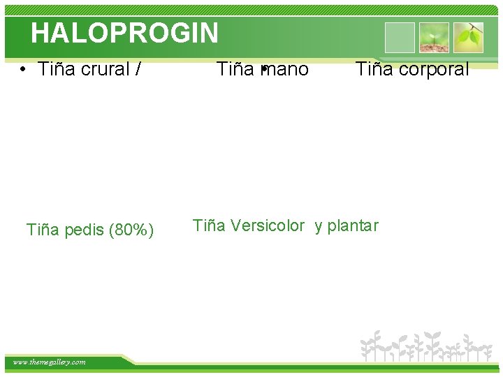 HALOPROGIN • Tiña crural / Tiña pedis (80%) www. themegallery. com Tiña mano •