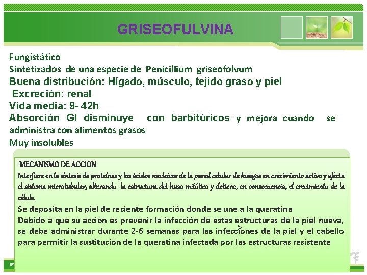 GRISEOFULVINA Fungistático Sintetizados de una especie de Penicillium griseofolvum Buena distribución: Hígado, músculo, tejido