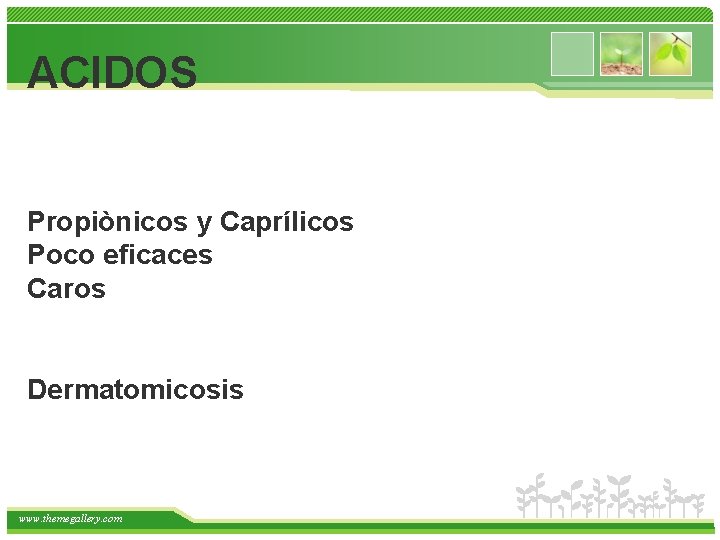 ACIDOS Propiònicos y Caprílicos Poco eficaces Caros Dermatomicosis www. themegallery. com 