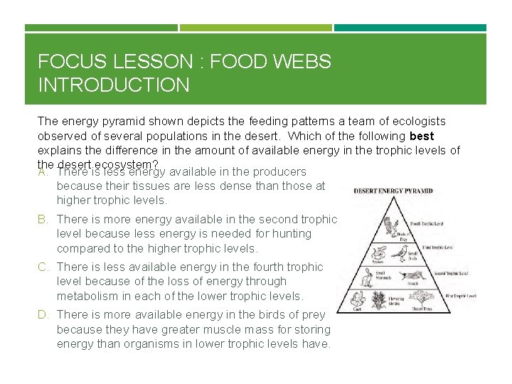 FOCUS LESSON : FOOD WEBS INTRODUCTION The energy pyramid shown depicts the feeding patterns
