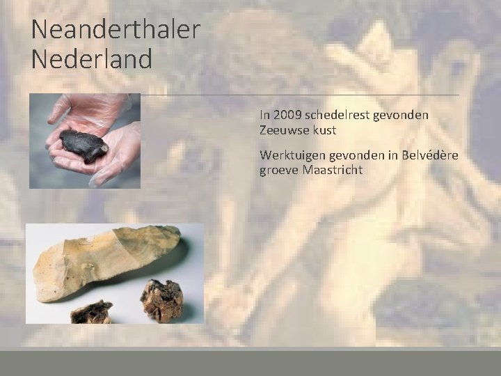 Neanderthaler Nederland In 2009 schedelrest gevonden Zeeuwse kust Werktuigen gevonden in Belvédère groeve Maastricht