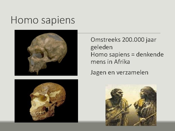 Homo sapiens Omstreeks 200. 000 jaar geleden Homo sapiens = denkende mens in Afrika