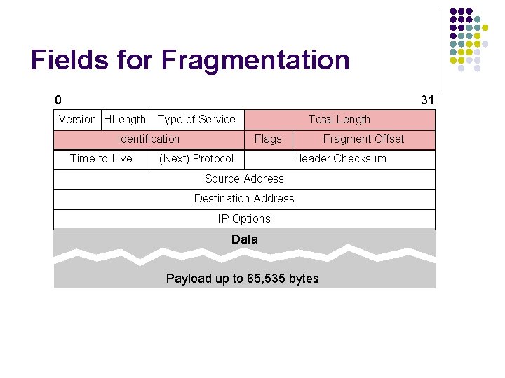 Fields for Fragmentation 0 31 Version HLength Type of Service Identification Time-to-Live Total Length Fields for Fragmentation 0 31 Version HLength Type of Service Identification Time-to-Live Total Length