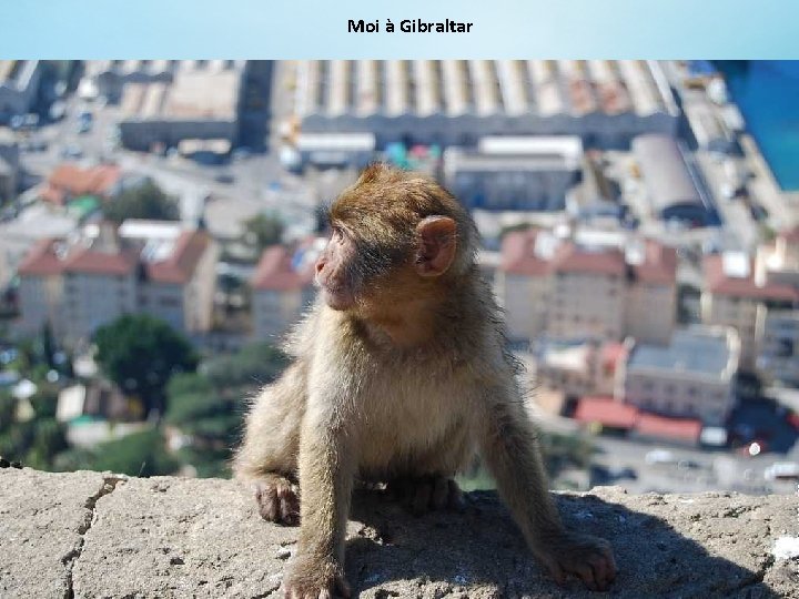 Moi à Gibraltar 