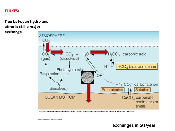 FLUXES: Flux between hydro and atmo is still a major exchange reservoirs in gigatons FLUXES: Flux between hydro and atmo is still a major exchange reservoirs in gigatons