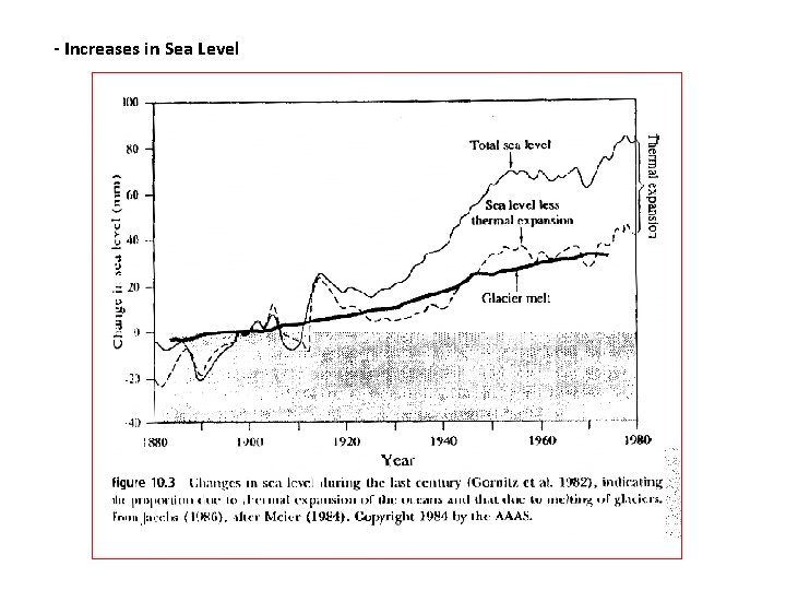 - Increases in Sea Level - Increases in Sea Level