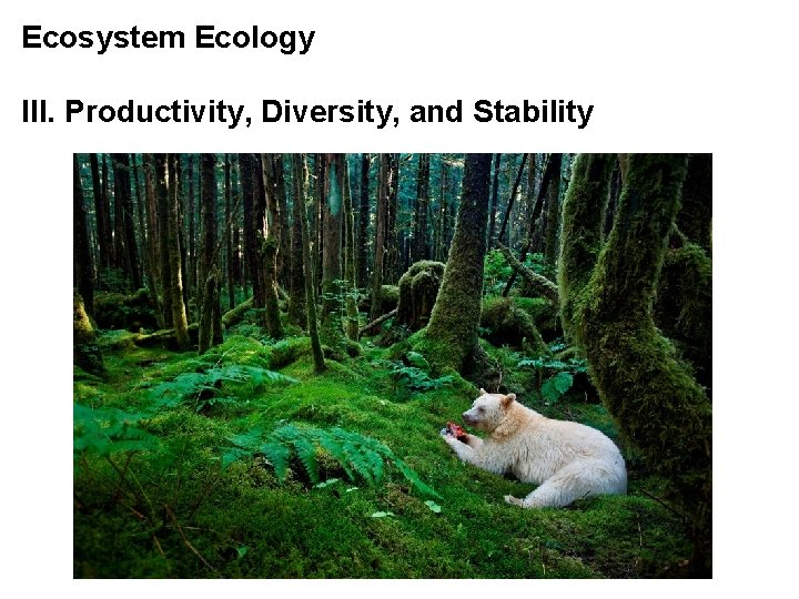 Ecosystem Ecology III. Productivity, Diversity, and Stability Ecosystem Ecology III. Productivity, Diversity, and Stability