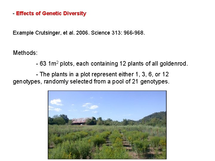 - Effects of Genetic Diversity Example Crutsinger, et al. 2006. Science 313: 966 -968. - Effects of Genetic Diversity Example Crutsinger, et al. 2006. Science 313: 966 -968.
