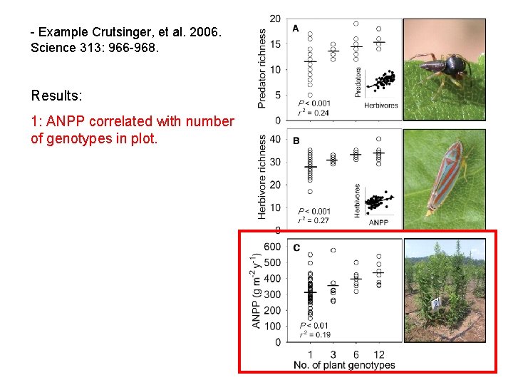 - Example Crutsinger, et al. 2006. Science 313: 966 -968. Results: 1: ANPP correlated - Example Crutsinger, et al. 2006. Science 313: 966 -968. Results: 1: ANPP correlated