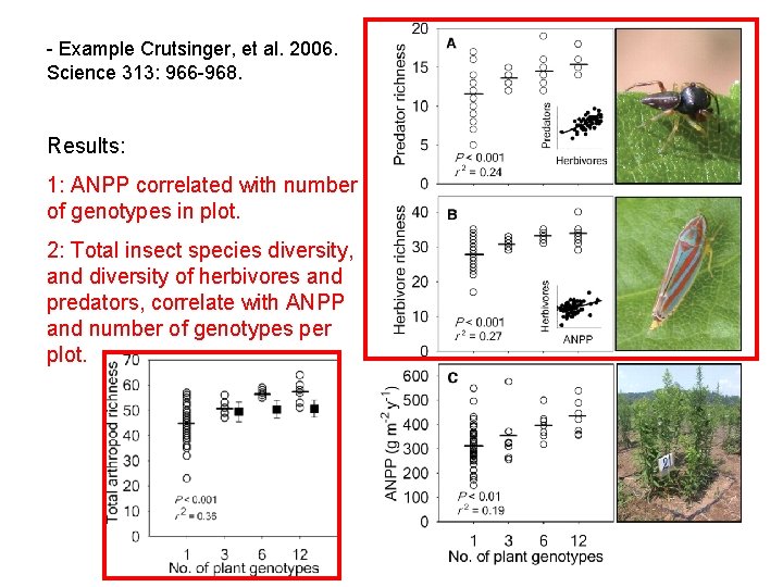 - Example Crutsinger, et al. 2006. Science 313: 966 -968. Results: 1: ANPP correlated - Example Crutsinger, et al. 2006. Science 313: 966 -968. Results: 1: ANPP correlated